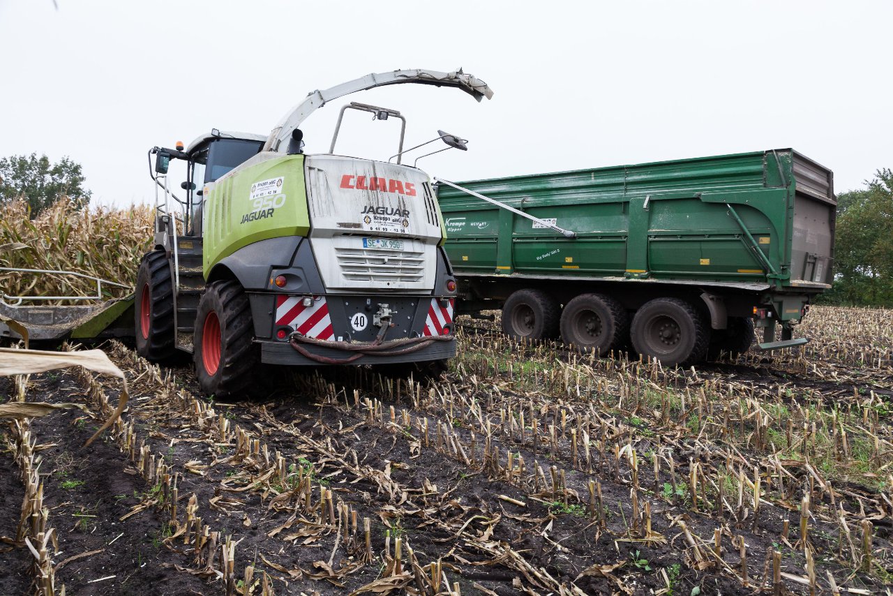 Bild 60 - Maisernte am 22.10.12